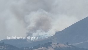 Φωτιά στο Ορθοβούνι Καλαμπάκας - Μεγάλη κινητοποίηση της Πυροσβεστικής 
